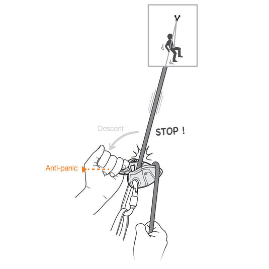 Petzl GriGri + (2026 version) infographic