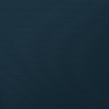 Smell Well Shoe Deoderiser in midnight blue