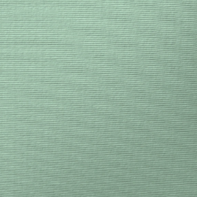 Smell Well Shoe Deoderiser in green