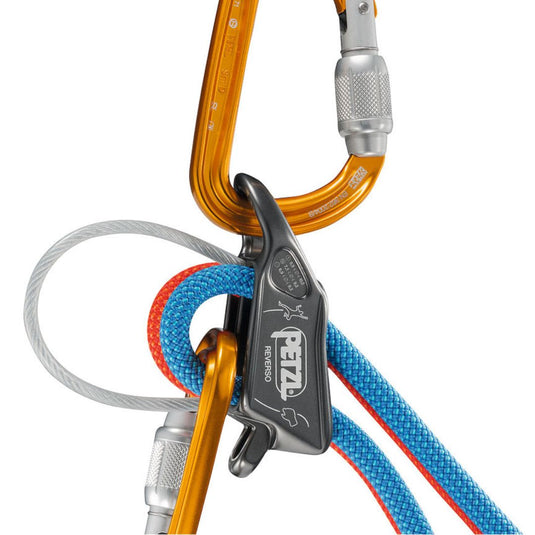 Petzl Reverso Belay Device in Grey, attached to gold carabiner with two ropes threaded through, one red and one blue.