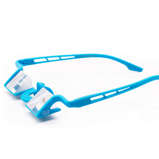 YY Plasfun EVO Belay Glasses in Blue