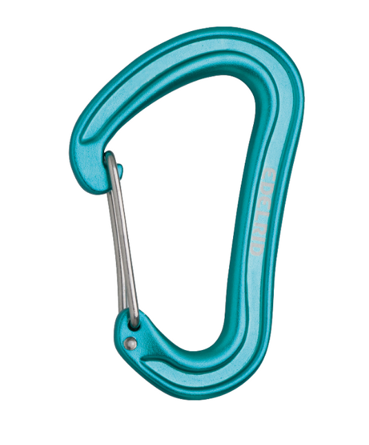 Edelrid Nineteen G Carabiner