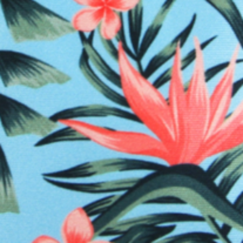 Smell Well Shoe Deoderiser in tropical floral